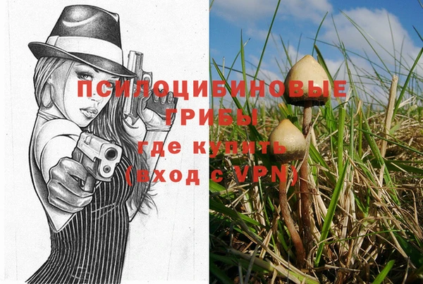 герыч Ельня