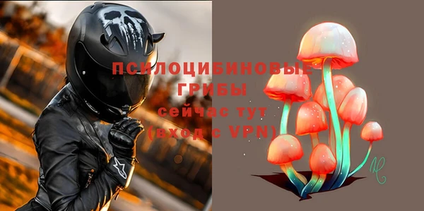 2c-b Елабуга