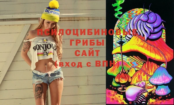 2c-b Елабуга