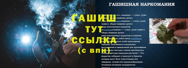 гашик Елизово