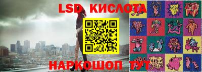 сатива Кандалакша