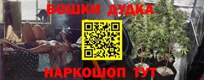 сатива Кандалакша