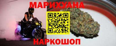 сатива Кандалакша
