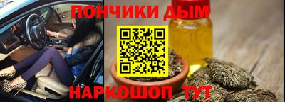 сатива Кандалакша