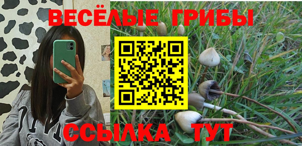 где продают   Вход с VPN  Красноярск  Псилоцибиновые грибы Magic Shrooms 
